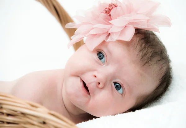 Retrato bebê recém-nascido em cesta — Fotografia de Stock