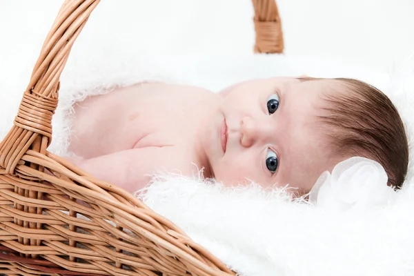 Retrato bebé recién nacido en cesta — Foto de Stock