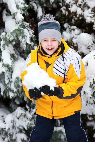 Portrait young boy in winter park — Stock Photo, Image