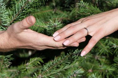 Close up of female and man's hands against fur-tree branches clipart