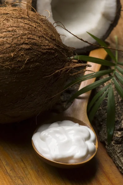 Кокосовое и кокосовое масло — стоковое фото