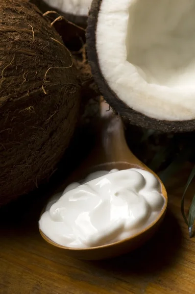 코코넛과 코코넛 오일 — 스톡 사진