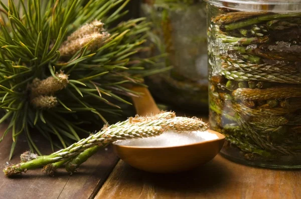 Natural medicine - syrup made of pine sprouts — Stock Photo, Image