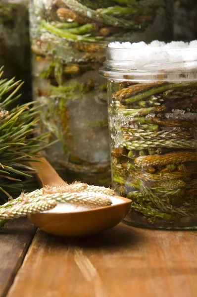 stock image Natural medicine - syrup made of pine sprouts