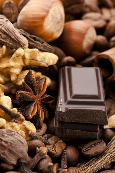 Choklad med kaffebönor, kryddor och nötter — Stockfoto