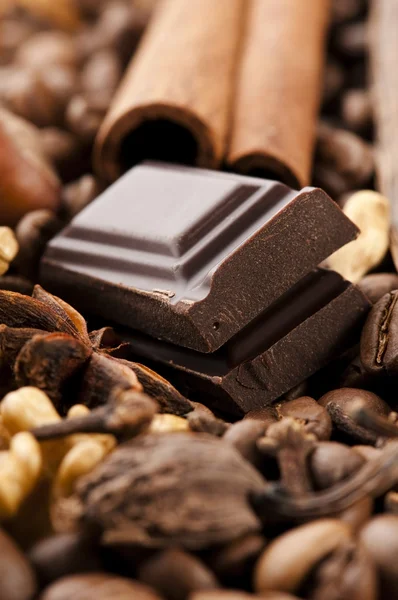 Chocolade koffie bonen, kruiden en noten — Stockfoto