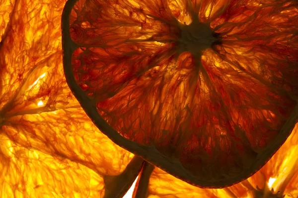 Fatias de laranja secas isoladas no fundo branco — Fotografia de Stock