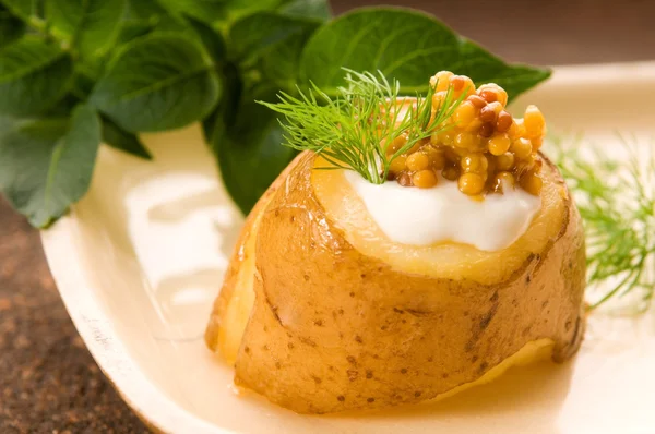 Patata al forno con panna acida, senape di Digione di grano ed erbe aromatiche — Foto Stock