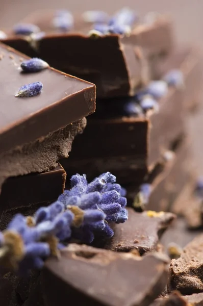 Hausgemachte Schokolade mit Lavendelblüten — Stockfoto