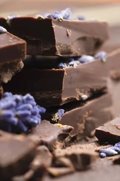 Zelfgemaakte chocolade met lavendel — Stockfoto