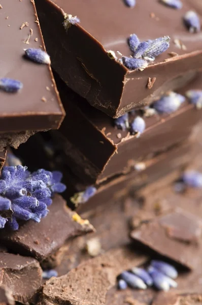 Homemade chocolate with lavender flowers — Stock Photo, Image