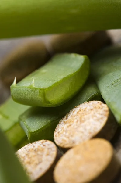 Aloe Vera Pflanze mit Pillen - pflanzliche Medizin — Stockfoto