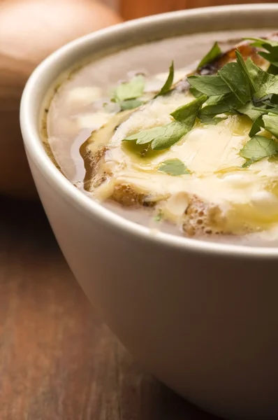 French onion soup with ingredients — Stock Photo, Image