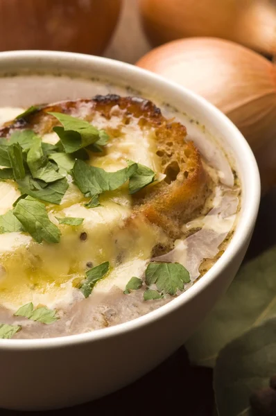 Французский луковый суп с ингредиентами — стоковое фото