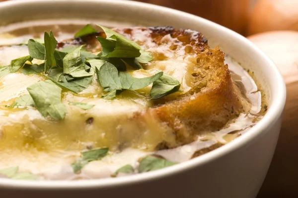 Французька цибульний суп з інгредієнтами Стокова Картинка