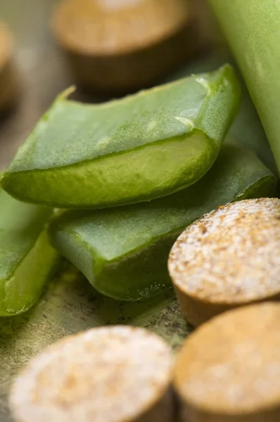 Aloe vera plante med piller - urtemedisin – stockfoto