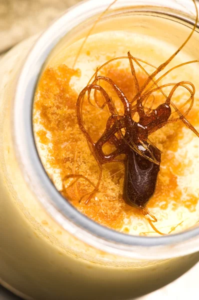 Desert delicios de caramel crema — Fotografie, imagine de stoc