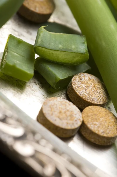 Aloe Vera Pflanze mit Pillen - pflanzliche Medizin — Stockfoto