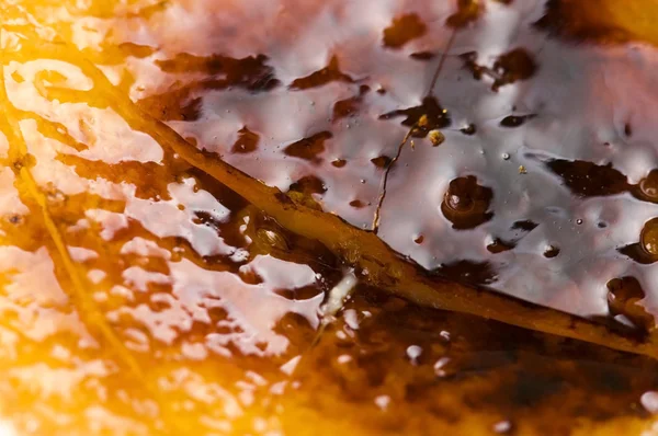 Francouzský dezert - smetanový brulee, spálená smetana — Stock fotografie