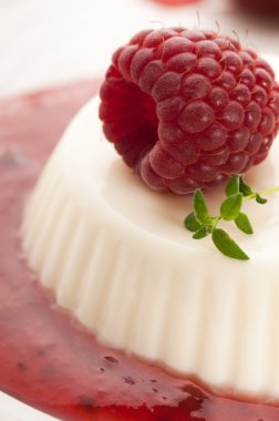 Vanilla panna cotta berry sos ile