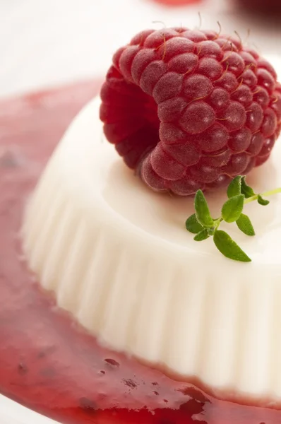 stock image Vanilla panna cotta with berry sauce