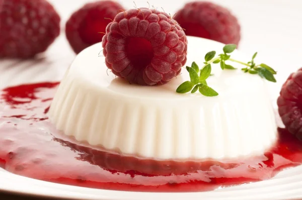 stock image Vanilla panna cotta with berry sauce