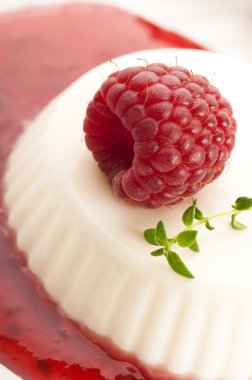 Vanilla panna cotta berry sos ile