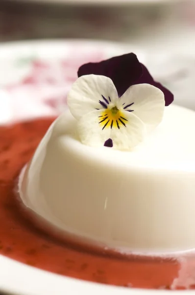 Vanilla panna cotta with berry sauce and spring flower — Stock Photo, Image