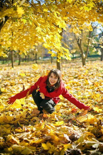 Höstens glädje — Stockfoto
