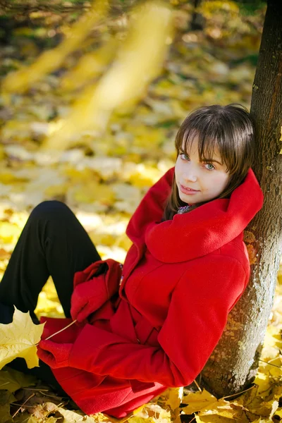 Sitting Under Autumn Tree — Stock Photo, Image
