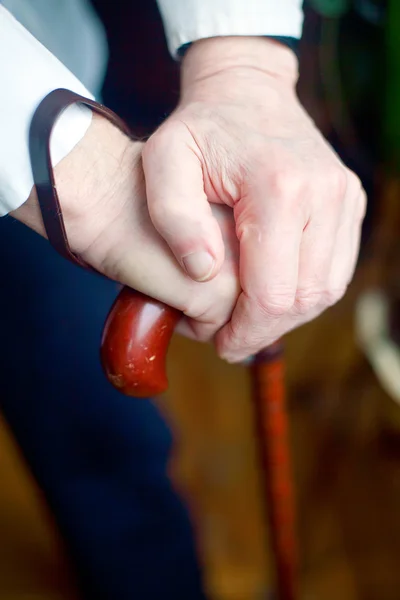 stock image Hands Holding Cane