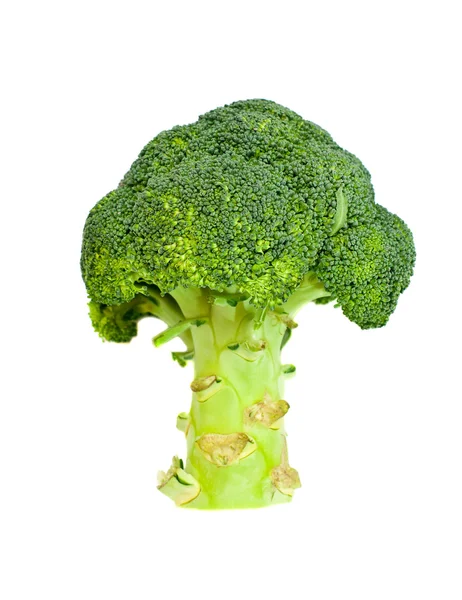 Der Brokkoli — Stockfoto