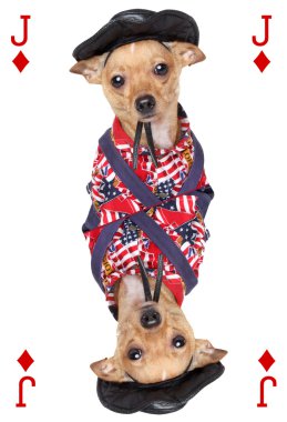 Playing card with chihuahua dog clipart