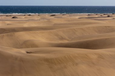 Maspalomas Dunes clipart