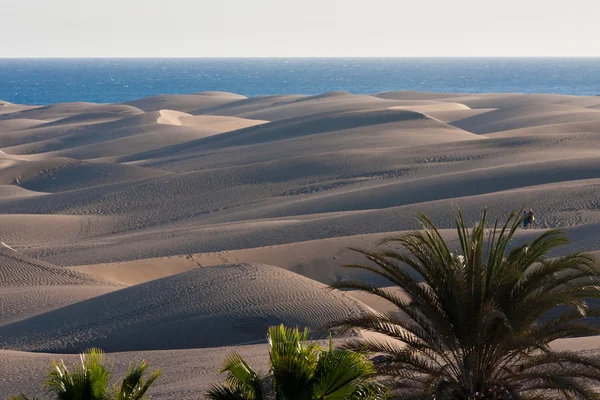 stock image Maspalomas Dunes