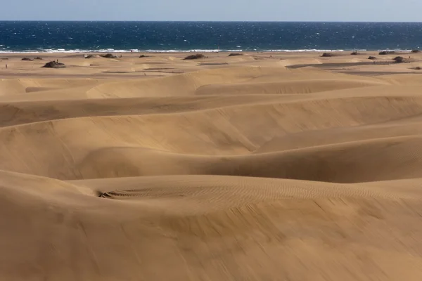 Dunes de Maspalomas Image En Vente