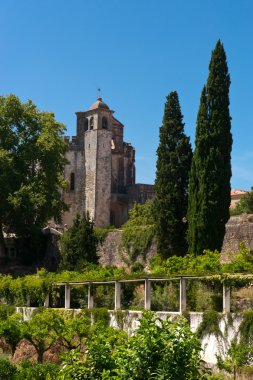 Tomar Castle