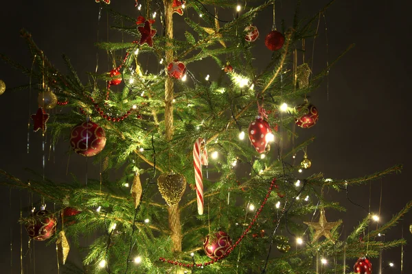 美しいクリスマス ツリー — ストック写真