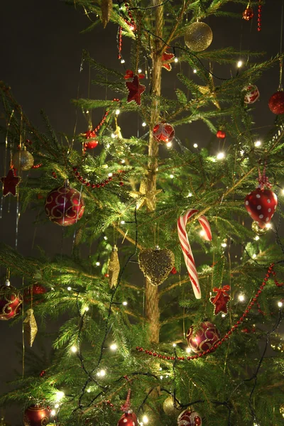 Schöner Weihnachtsbaum — Stockfoto