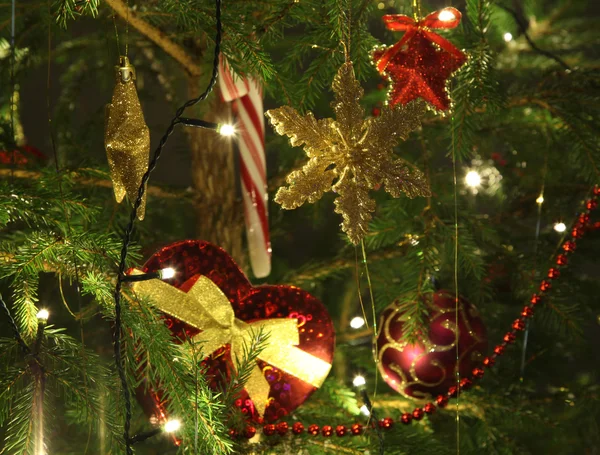 Beautiful christmas tree — Stock Photo, Image