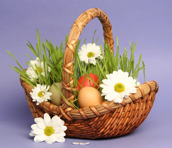 Wielkanoc niebieski — Zdjęcie stockowe