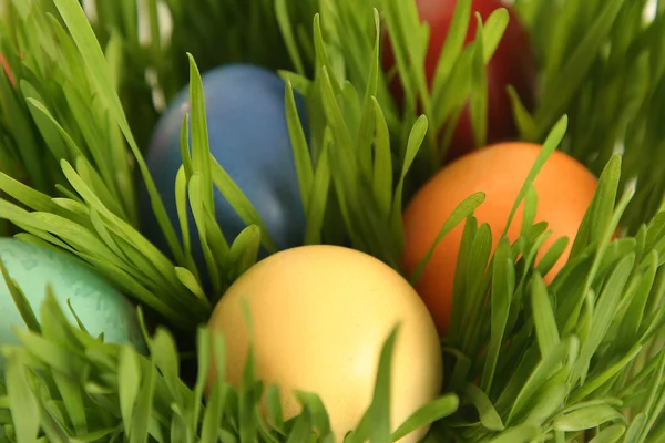 Ovos ornamentados — Fotografia de Stock