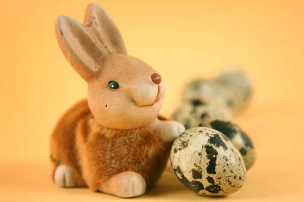 Kanin och ägg — Stockfoto