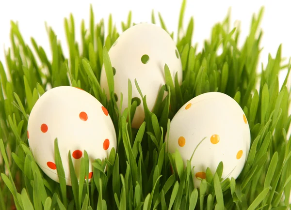 Fehér tojás, a greeen — Stock Fotó