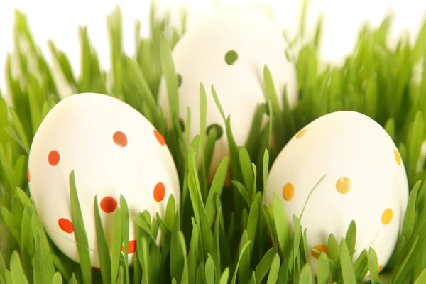 stock image White eggs on greeen