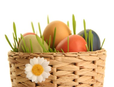 Spring and eggs clipart