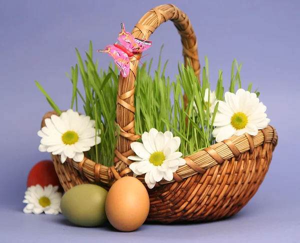 Komik Paskalya yortusu yumurta — Stok fotoğraf