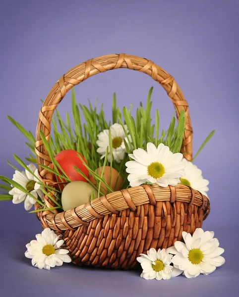 Kwiecisty Wielkanoc — Zdjęcie stockowe