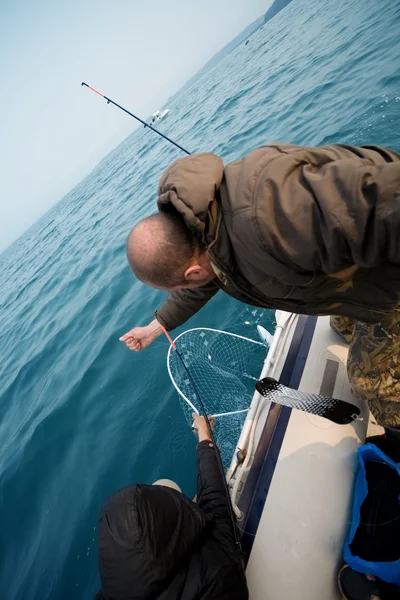Рибалки тягнуть лосося спійманого — стокове фото