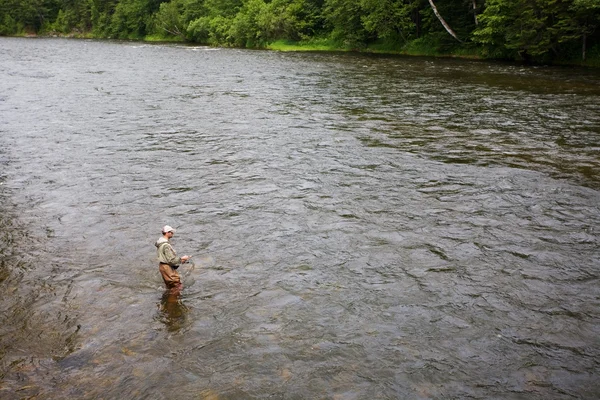 Balıkçı somon bir nehirde yakalar. — Stok fotoğraf